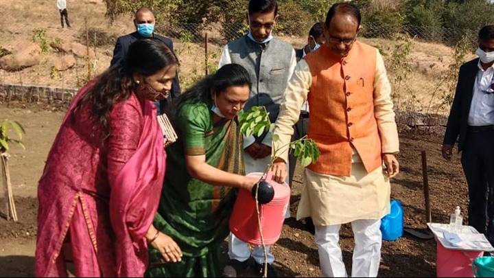 मुख्यमंत्री श्री चौहान ने स्मार्ट उद्यान में लगाया पिंकेशिया और पीपल का पौधा
